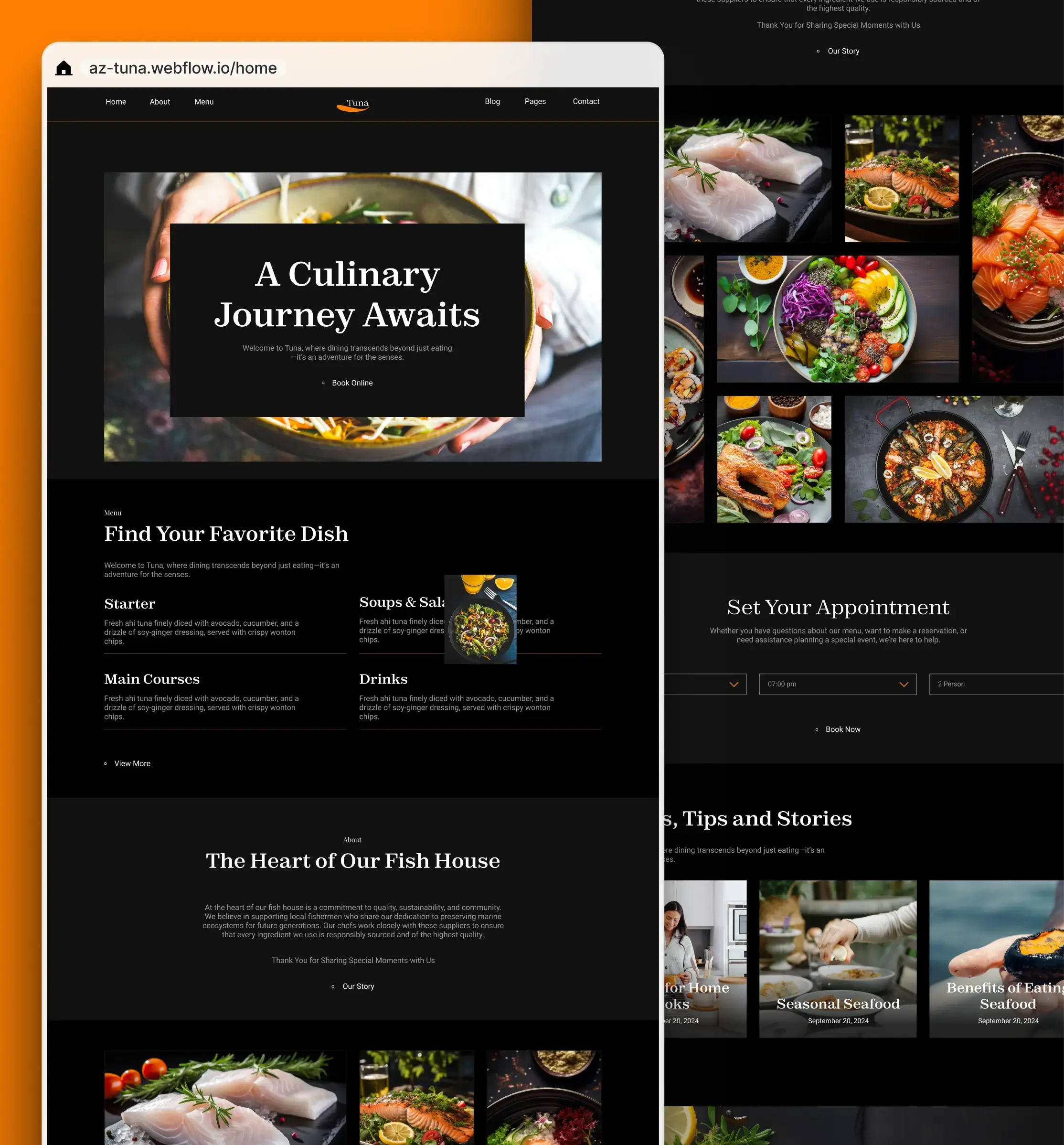 Tuna Webflow template designed with Modulify platform